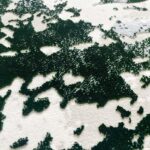 Covor Modern Rose 897 VERDE SMARALD - imagine 3